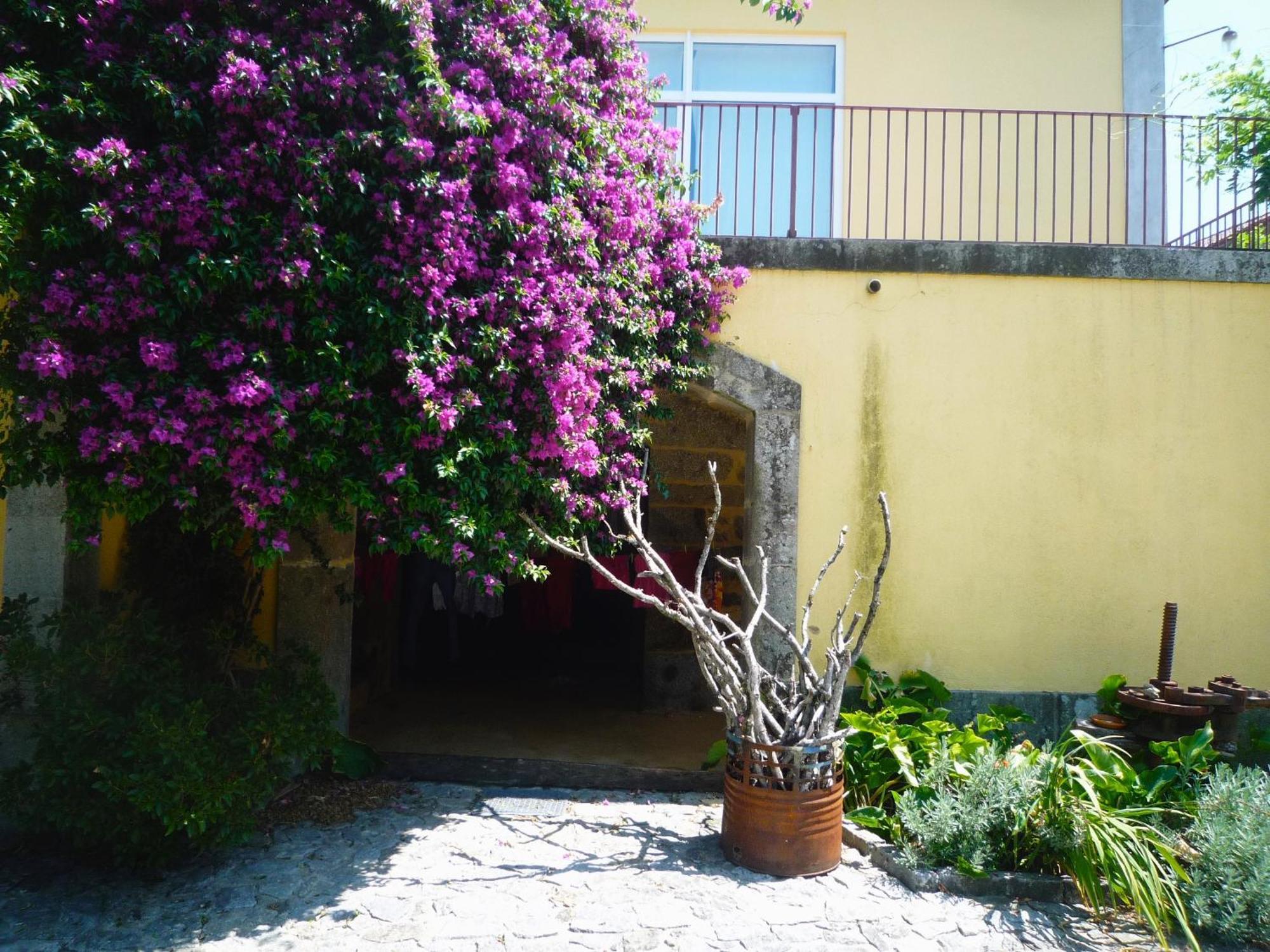 Casa Magnólia *